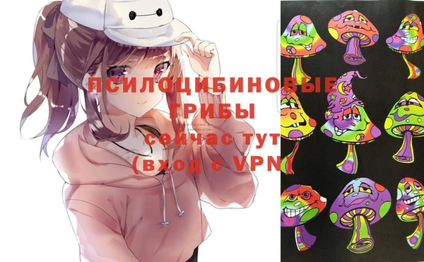 винт Алзамай