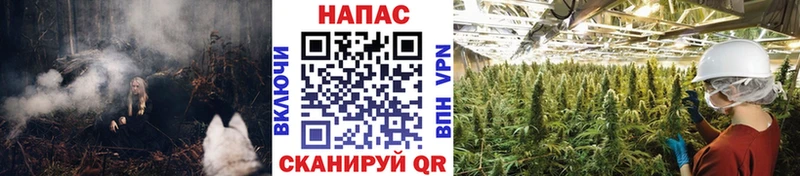 Марихуана ГИДРОПОН  купить наркотики цена  Оханск 